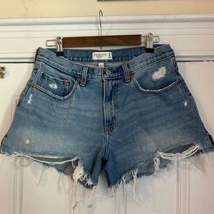 Abercrombie and Fitch Curve Love The Mom Short High Rise Size 26